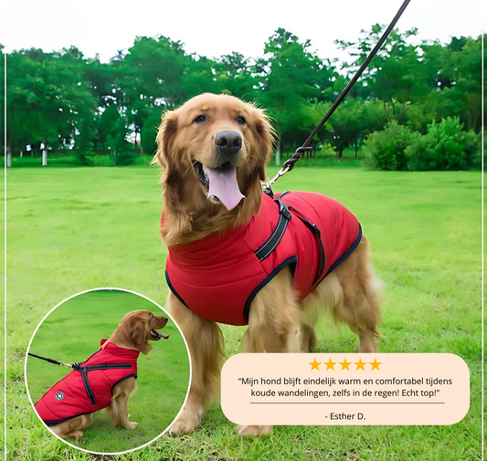 PawShield - Warm & Waterdicht voor de Winter!